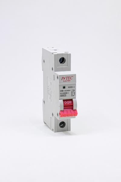 کلید مینیاتوری 25 آمپر ۱۰k پارس تکنولوژی